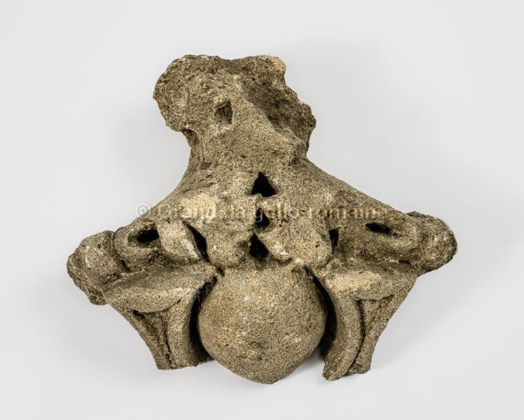 archéologie ; sculpture, chapiteau composite (fragment), (GRD_2013.1.219) "Fragment à décor végétal"