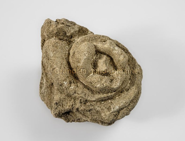 archéologie ; sculpture, Chapiteau composite (fragment), (GRD_2013.1.68) "Fragment à décor végétal de volutes"