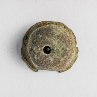 cupule ; © CD 88, cl. PHILIPPOT Claude