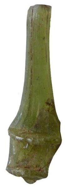 vase (anse, fragment)