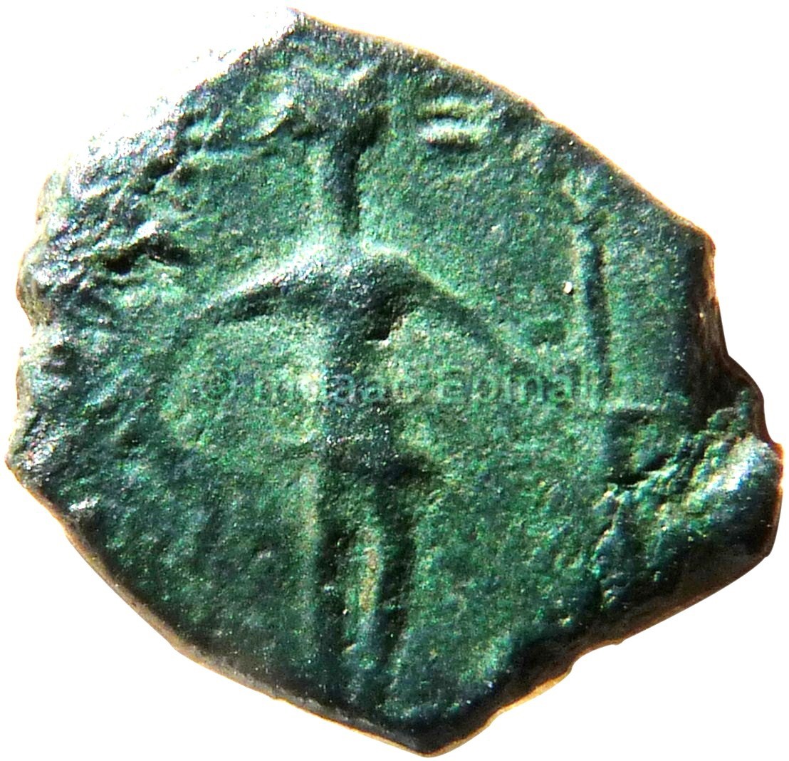 pièce de monnaie ; antoninianus