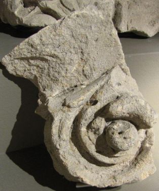 chapiteau composite (fragment) ; © Conseil départemental des Vosges