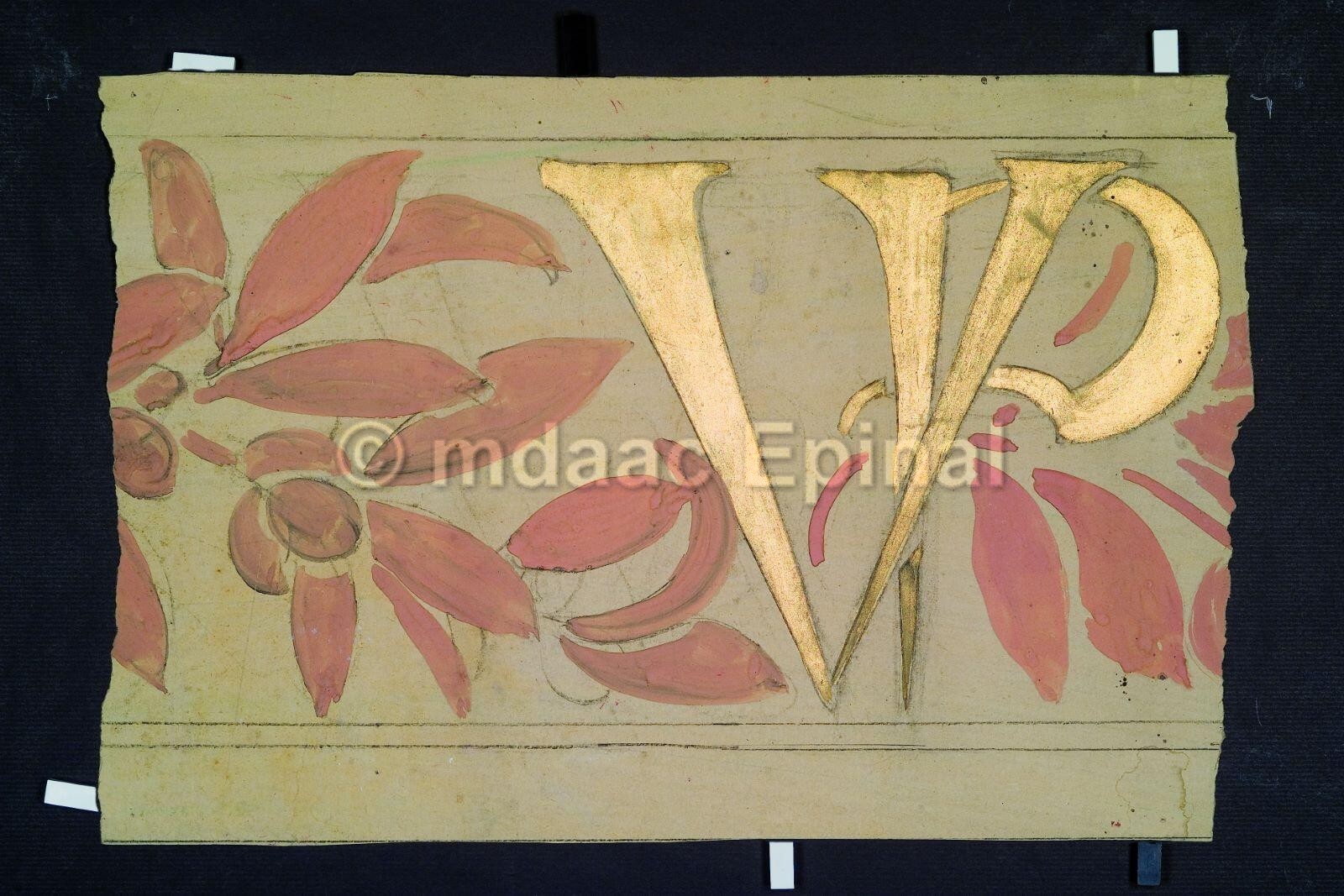 Etude d'iris (recto) ; Frise de feuilles avec lettrines (verso)