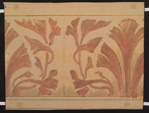 Etude de marguerites (recto) ; Frise de feuilles d'acanthe (verso) ; © Illustria