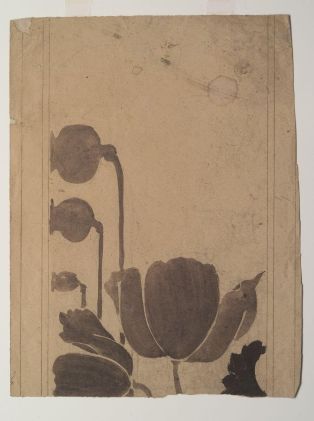 Frise de pavot (recto) ; Etude de feuilles (verso) ; © Illustria