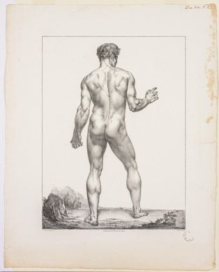 Etude d'homme debout de dos ; Anatomie des peintres ; © PHILIPPOT Claude